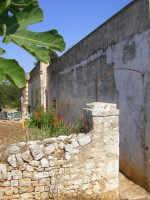 /album/antica-masseria-agro-di-turi/sany0853-jpg/